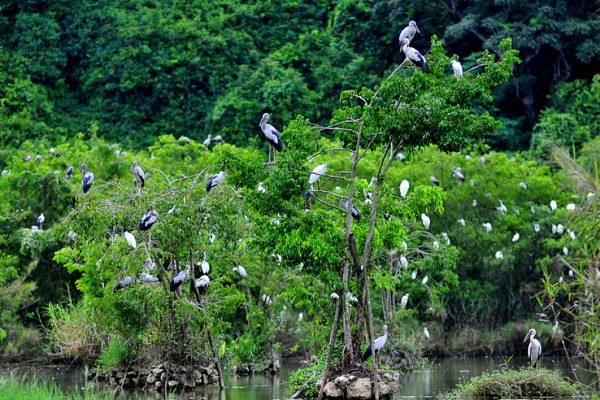 TOUR DU LỊCH NINH BÌNH