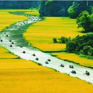 Tour Ninh Bình Hoa Lư – Tam Cốc 1 Ngày