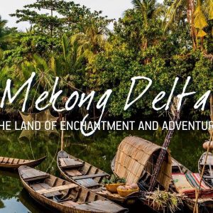 Tour Miền Tây – Mỹ Tho – Bến Tre Cao Cấp Fuso Limousine 1 Ngày