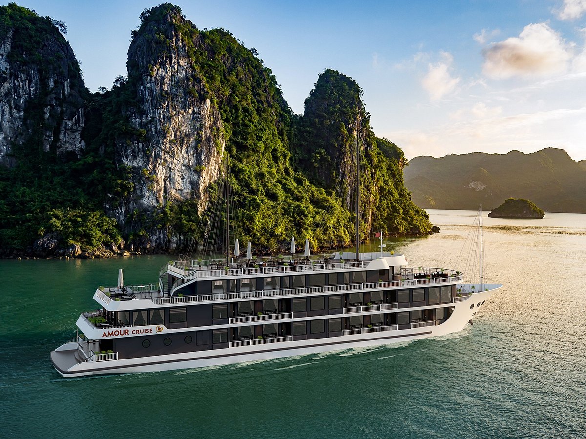 Amour Cruise